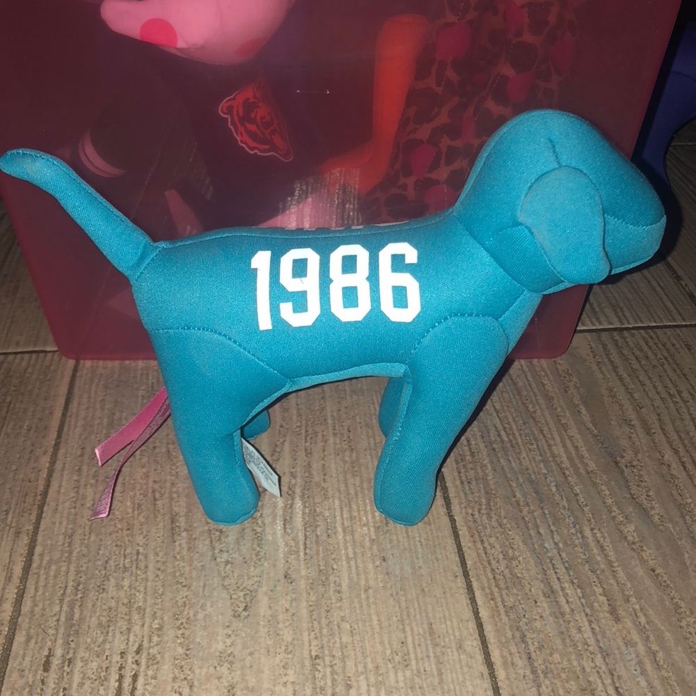 PINK Dog 💕🐶
